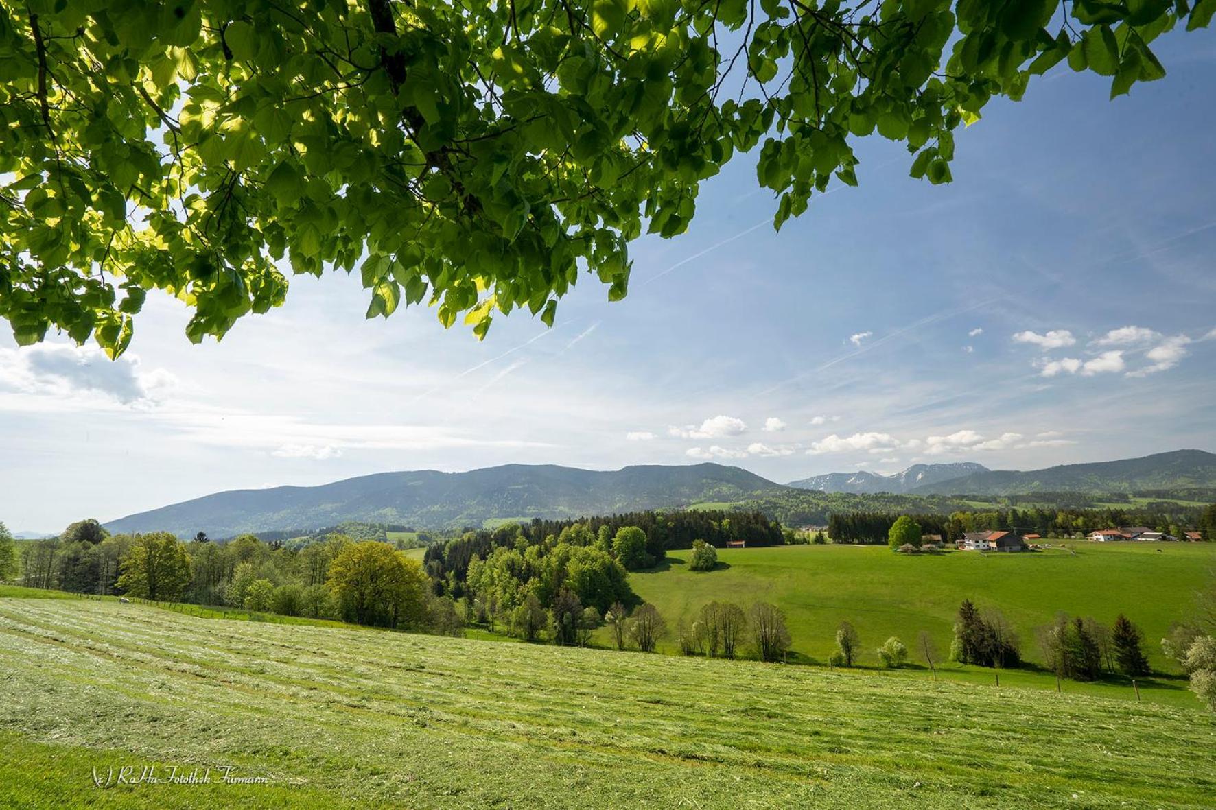 Monteurzimmer Am Teisenberg Neukirchen am Teisenberg 外观 照片